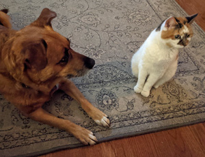 Callie w friend home 2021 Callie w friend home 2021