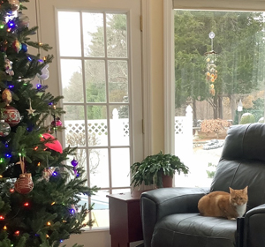 Sunny home 2022 xmas Sunny home 2022 xmas
