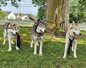Toby w friends Toby w friends