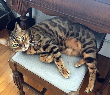 Faith at home _2 2019 Faith at home _2 2019