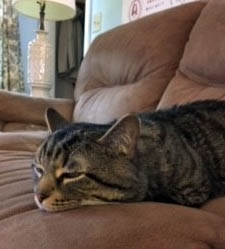 Reggie home 2019 Reggie home 2019