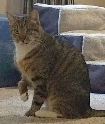 Zander home 2019
