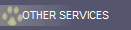 OTHER SERVICES